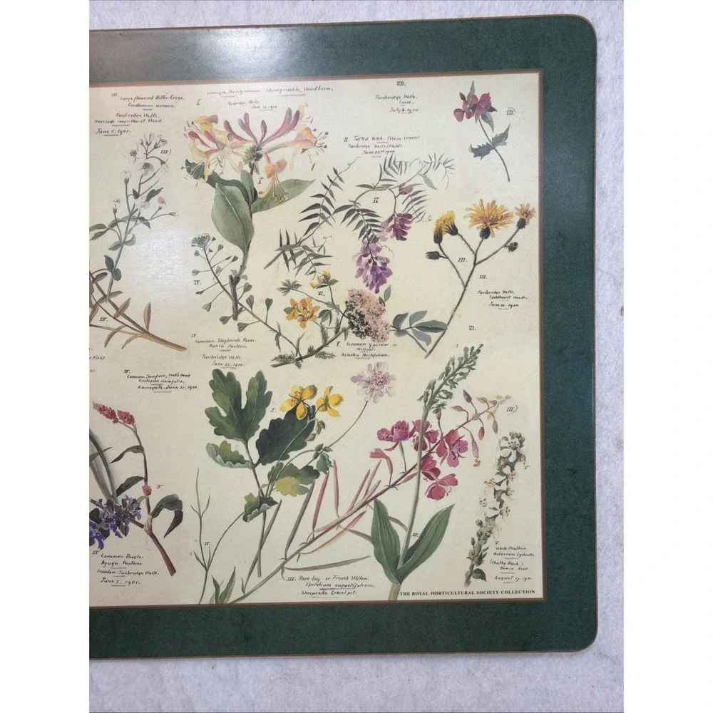 Set Of 4 Pimpernel Royal Horticulture Society Floral Cork Back Placemats England